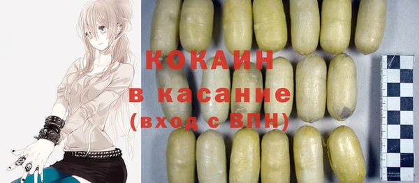 ешки Алексин