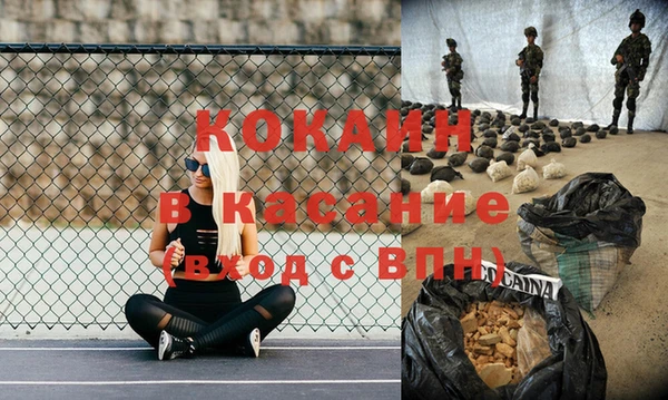 ешки Алексин