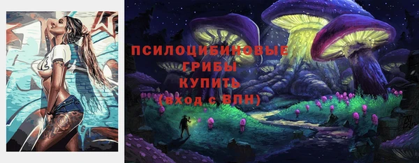 ешки Алексин