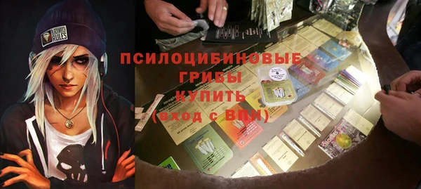 ешки Алексин